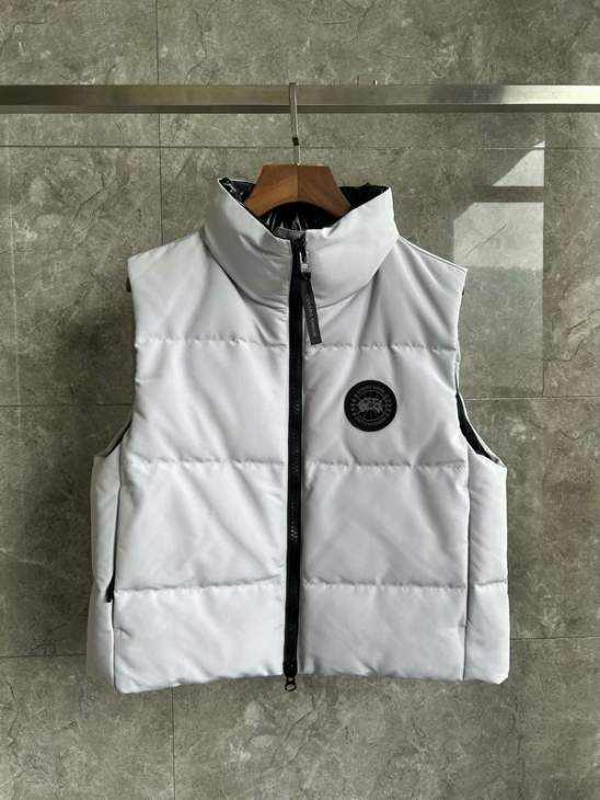 Picture of Canada Goose Down Jackets _SKUCanadaGooseXS-XLxetr10037787